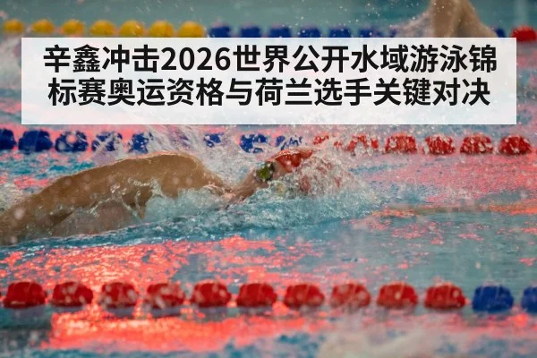 辛鑫冲击2026世界公开水域游泳锦标赛奥运资格与荷兰选手关键对决